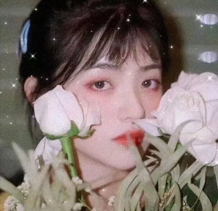青春在线